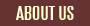 about us button