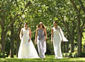 Weddings