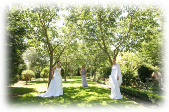 wedding photo 1